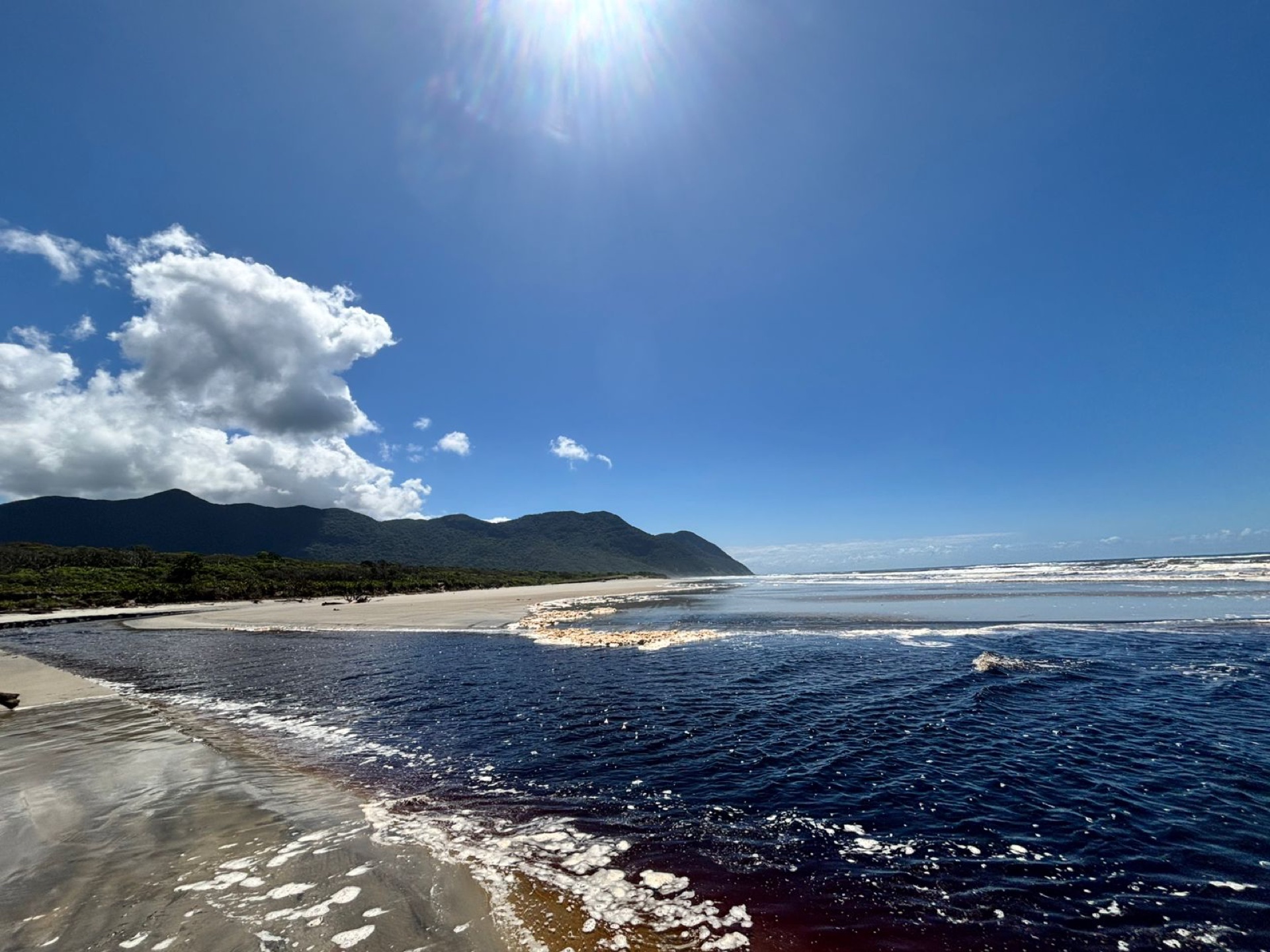 Cananéia–Iguape–Peruíbe Environmental Protection Area