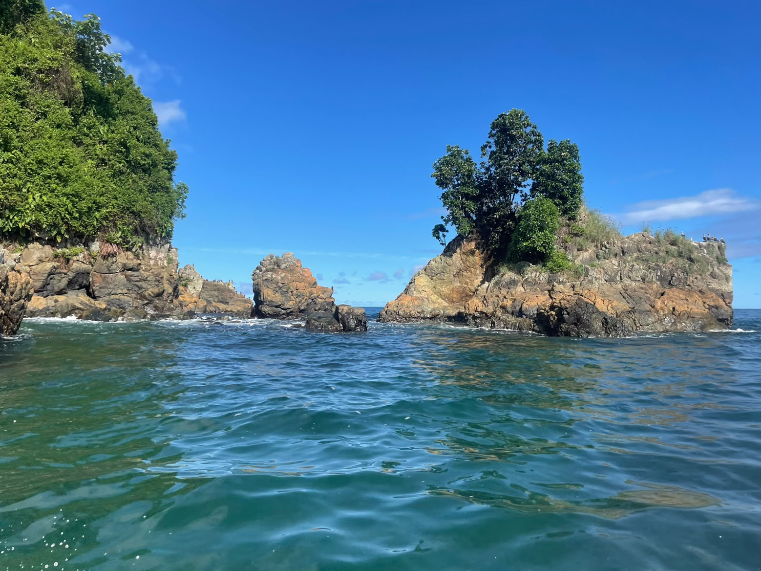 Gorgona National Park