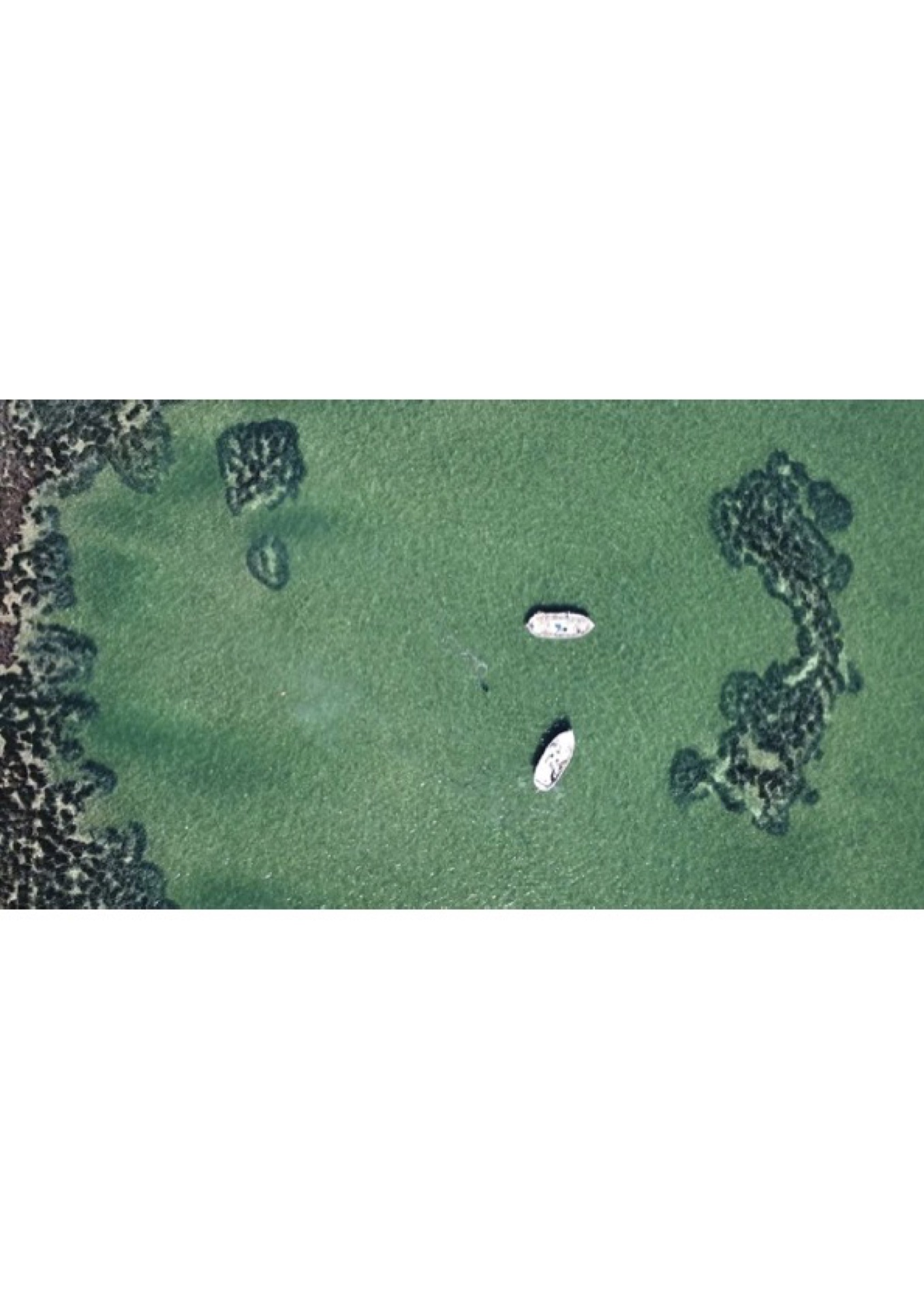 The northern islets of Kerkennah archipelago