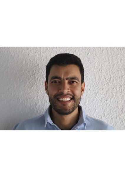 Hamed Mallat