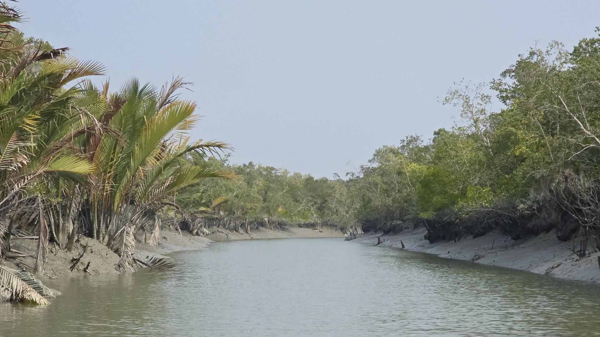 Sundarbans World Heritage Site